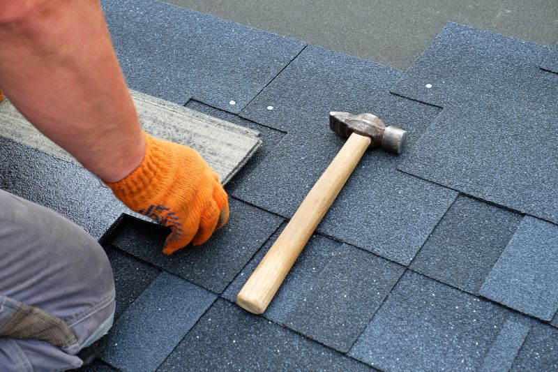 Professional Asphalt Shingle Repair 1