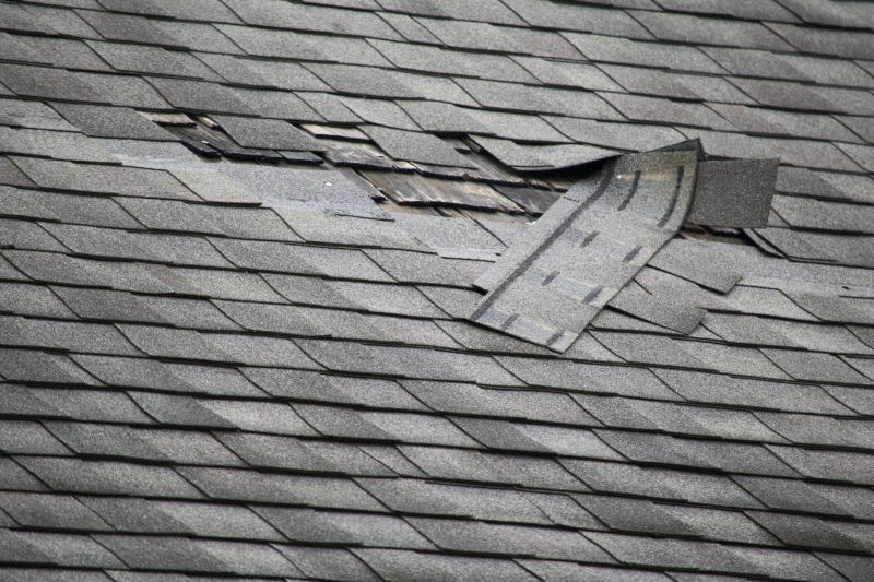 Asphalt Roof Repair Image 1