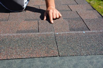Professional Asphalt Roof Repair 4